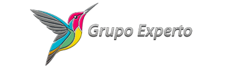 GRUPO EXPERTO – Seguridad Electrónica